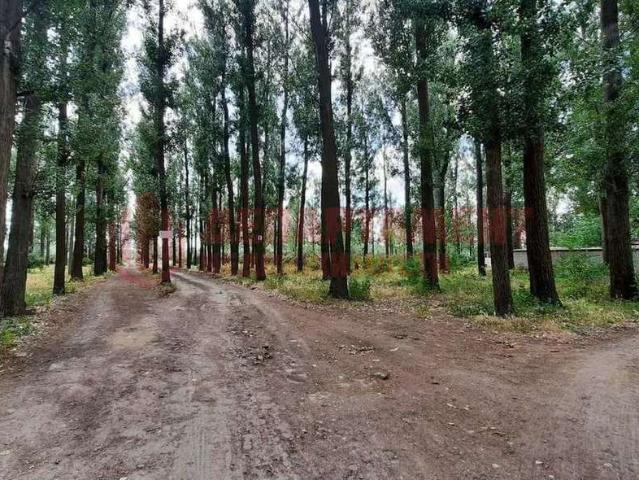 Дом продажа в Астрахань, Астраханская область