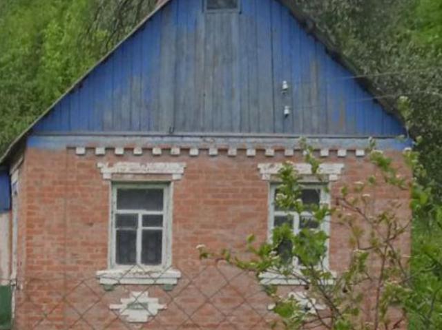 Дом продажа в Будах, Донецкой области