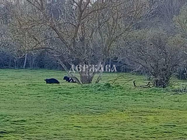 Дом продажа в Белгородская область