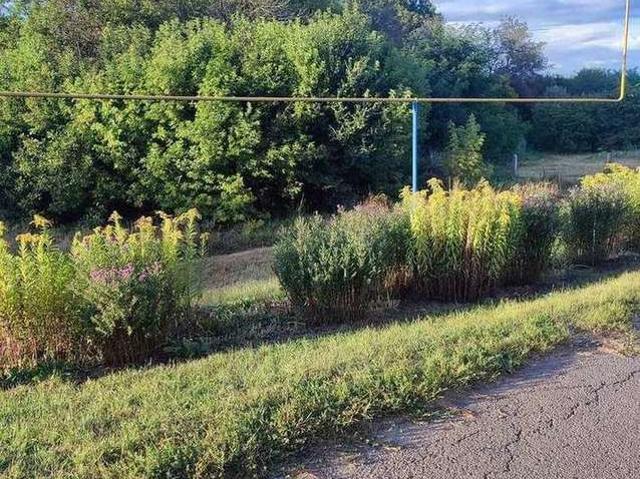 Дом продажа в Долбино, Белгородский район