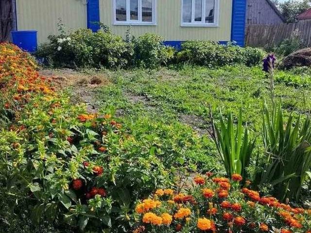 Дом продажа в Шемышейка Рп, Пензенская область
