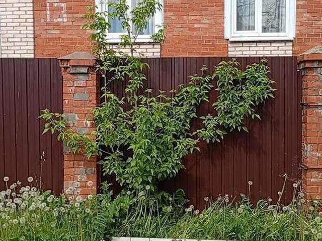 Дом продажа в Заячий Ремиз, Гатчина