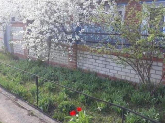 Дом продажа в Донецкой области