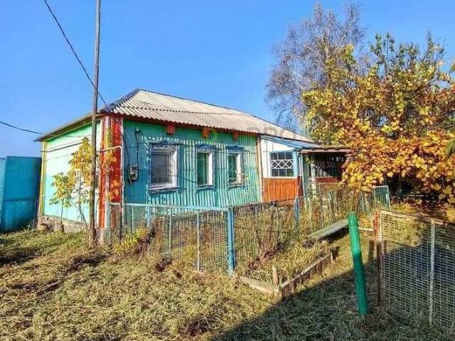 Дом продажа в Нижнее Турово, Нижнедевицкий район