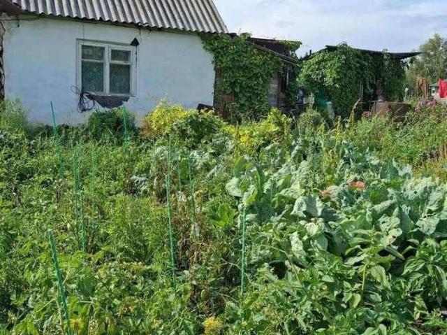 Дом продажа в Алтайский Край