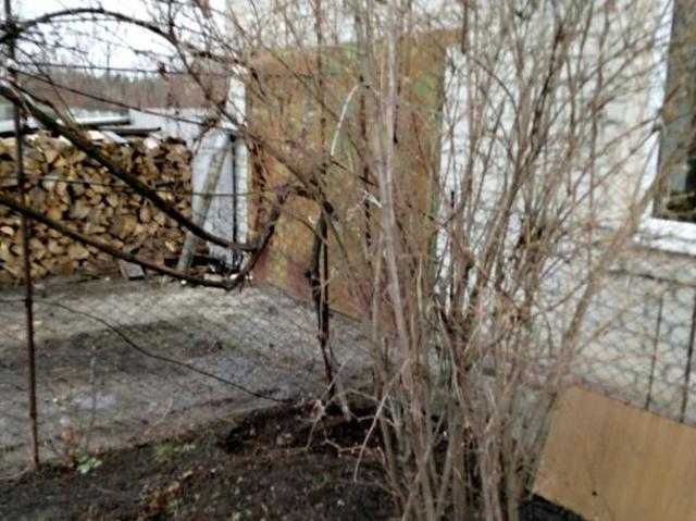 Дом продажа в Солоницевке, Донецкой области