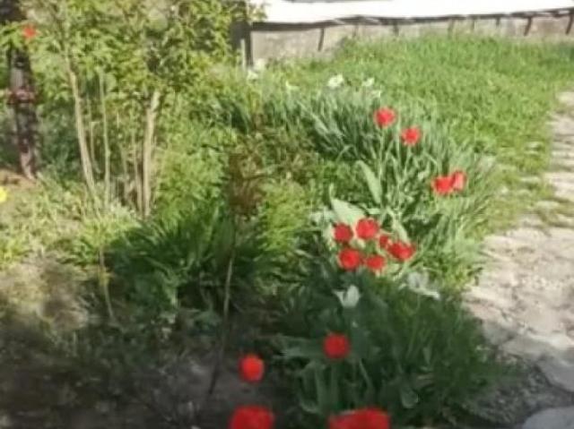 Дом продажа в Чугуеве, Донецкой области