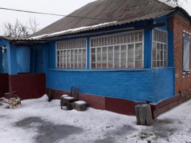 Дом продажа в Великой Бабке, Донецкой области