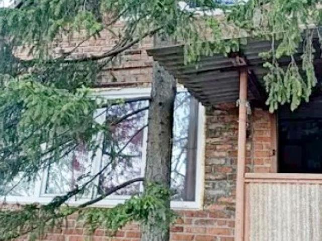 Дом продажа в Высоком, Донецкой области