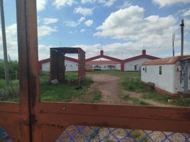 Недвижимость продажа в Челябинская область