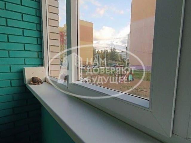 Квартира продажа в Чайковский, Пермский Край