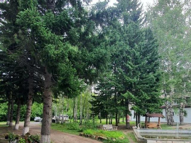 Квартира продажа в Барнаул, Алтайский Край