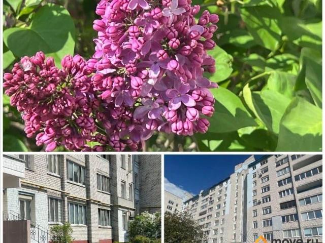 Квартира продажа в Брянск, Брянская область