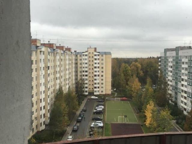 Квартира продажа в Новое Девяткино, Ленинградская область