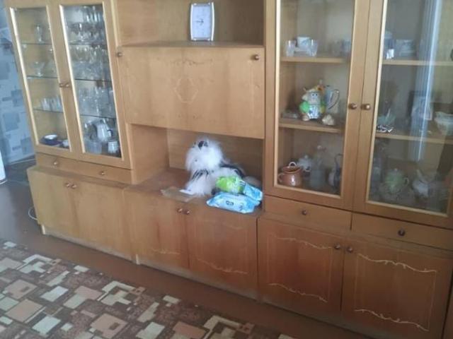 Квартира продажа в Шебекино, Белгородская область