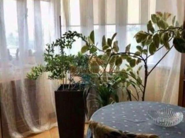 Квартира продажа в Шебекино, Белгородская область