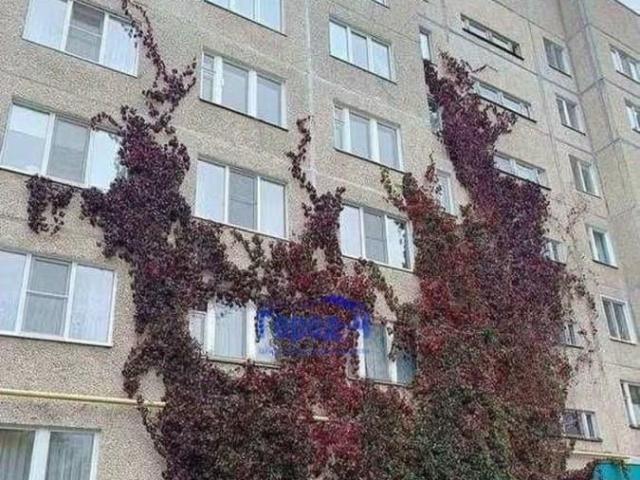 Квартира продажа в Чебоксары, Чувашская Республика - Чувашия