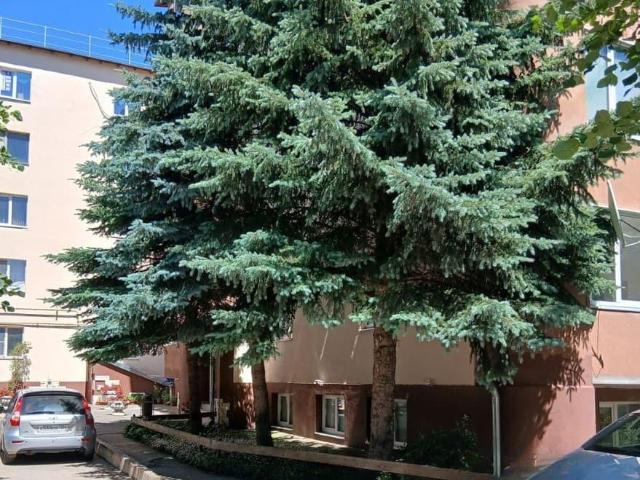 Квартира продажа в Ессентуки, Ставропольский Край