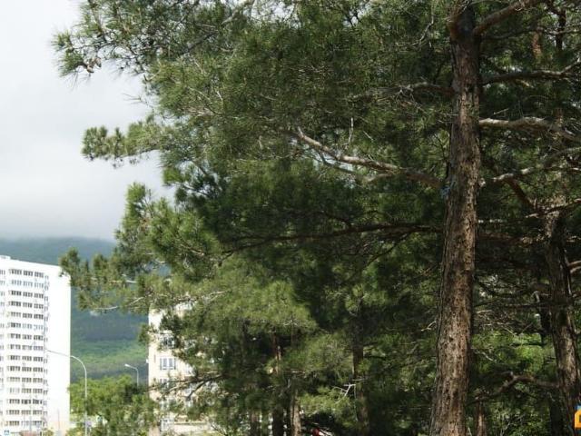 Квартира продажа в Геленджик, Краснодарский Край