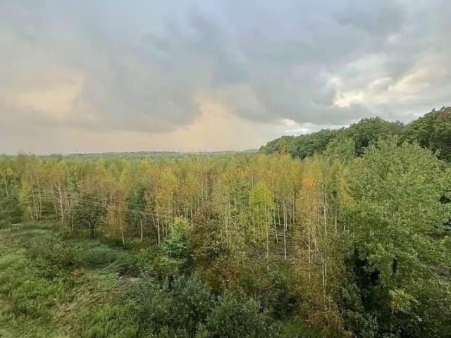 Квартира продажа в Гурьевский Р-н, Калининградская область