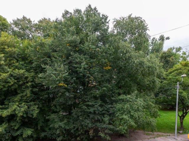 Квартира продажа в Калининград, Калининградская область
