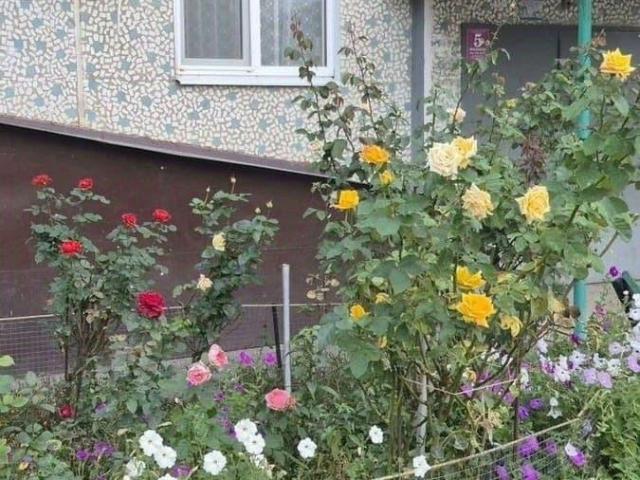 Квартира продажа в Дружба Дп, Краснодарский Край