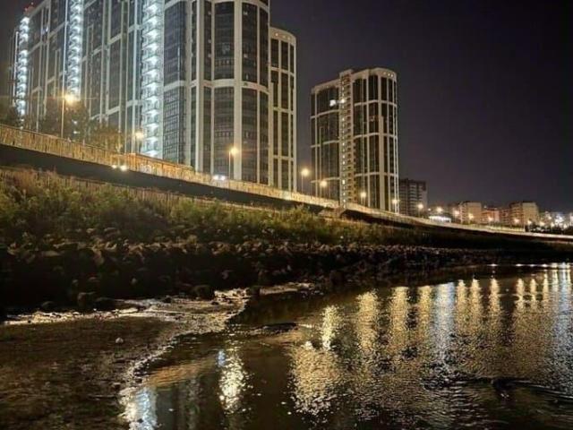 Квартира продажа в Березовый, Краснодарский Край