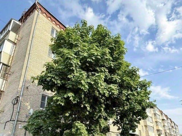 Квартира продажа в Краснозаводск, Кабардино-Балкарская Республика
