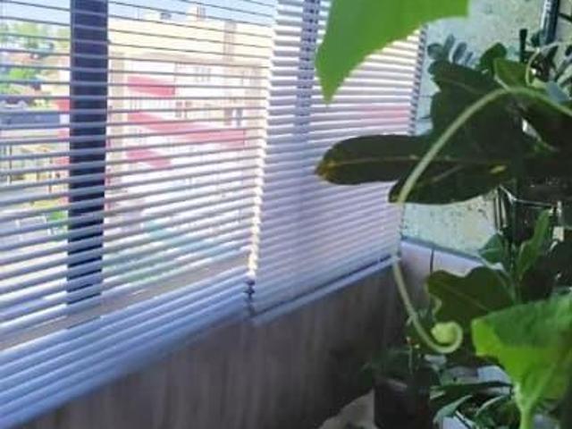 Квартира продажа в Кулебаки, Тыва Республика