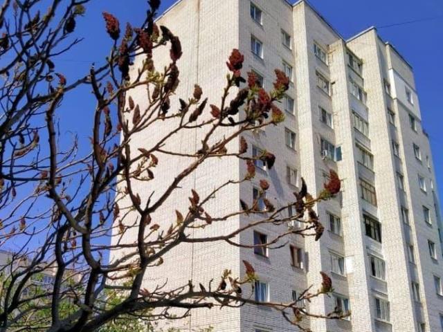 Квартира продажа в Сеймский округ, Курская область