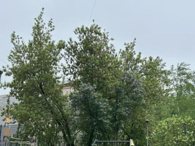 Квартира продажа в Москва