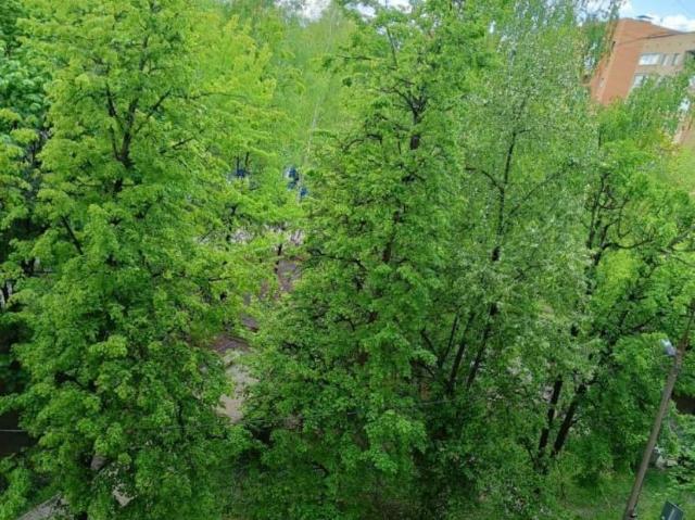 Квартира продажа в Королев, Кабардино-Балкарская Республика