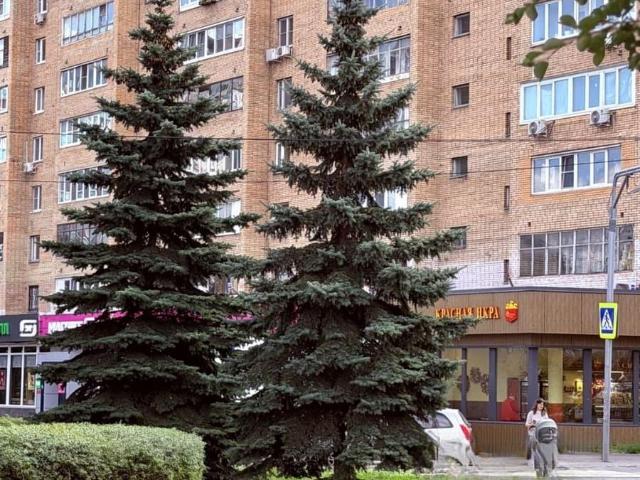 Квартира продажа в Королев, Кабардино-Балкарская Республика