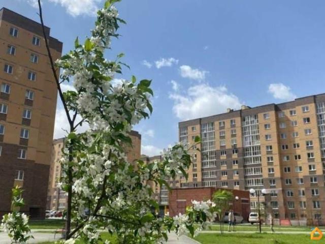 Квартира продажа в Новосибирская область