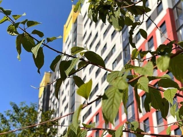 Квартира продажа в Новосибирская область