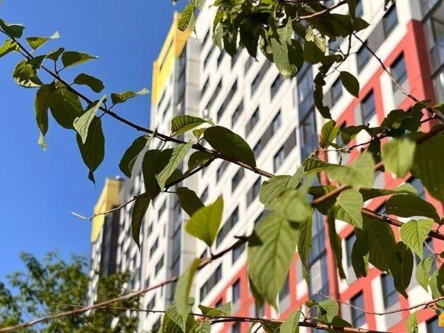 Квартира продажа в Новосибирская область