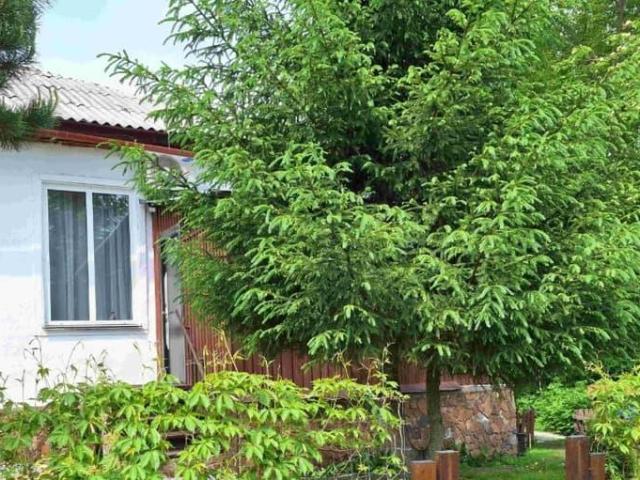 Квартира продажа в Новосибирская область