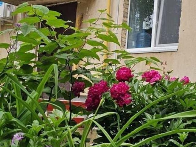 Квартира продажа в Октябрьски, Башкортостан Респ