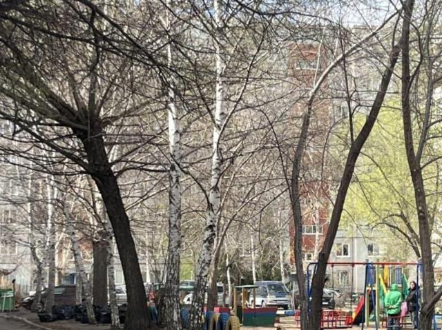 Квартира продажа в Омская область
