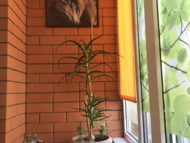 Квартира продажа в Яблоновский, Тахтамукайский район