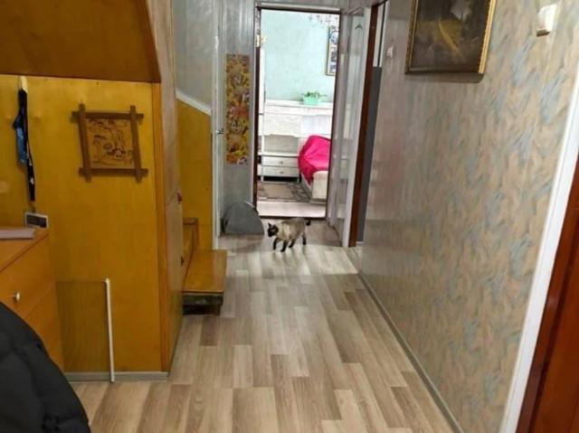 Квартира продажа в Белоозерский, Кабардино-Балкарская Республика