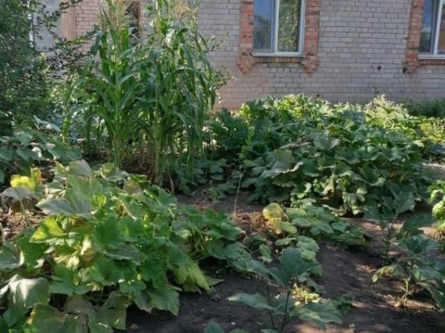 Квартира продажа в Самара, Самарская область