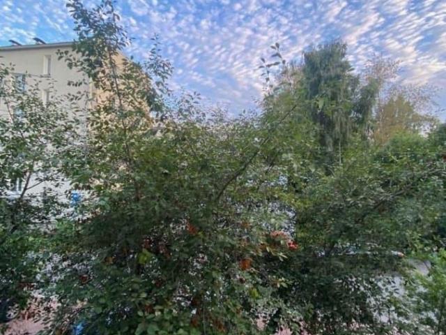 Квартира продажа в Ломоносов