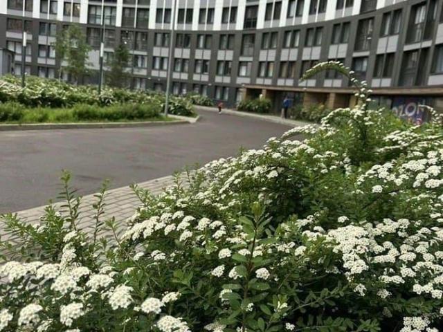 Квартира продажа в Нижегородская Ст-ца