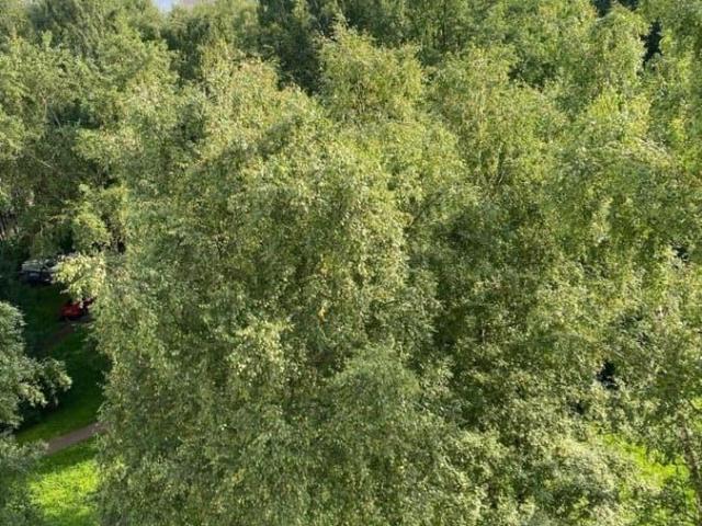 Квартира продажа в Нижегородская Ст-ца