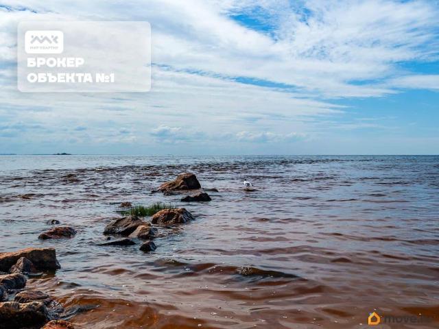 Квартира продажа в Сестрорецк