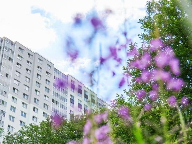 Квартира продажа в Нижегородская Ст-ца