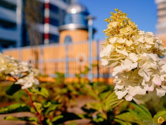 Квартира продажа в Нижегородская Ст-ца