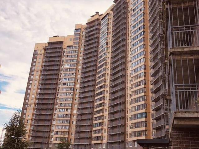 Квартира продажа в Торфяное, Парголово