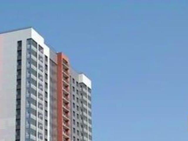 Квартира продажа в Торфяное, Парголово
